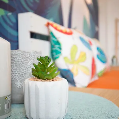 Apartament Tropical Old Center Studio